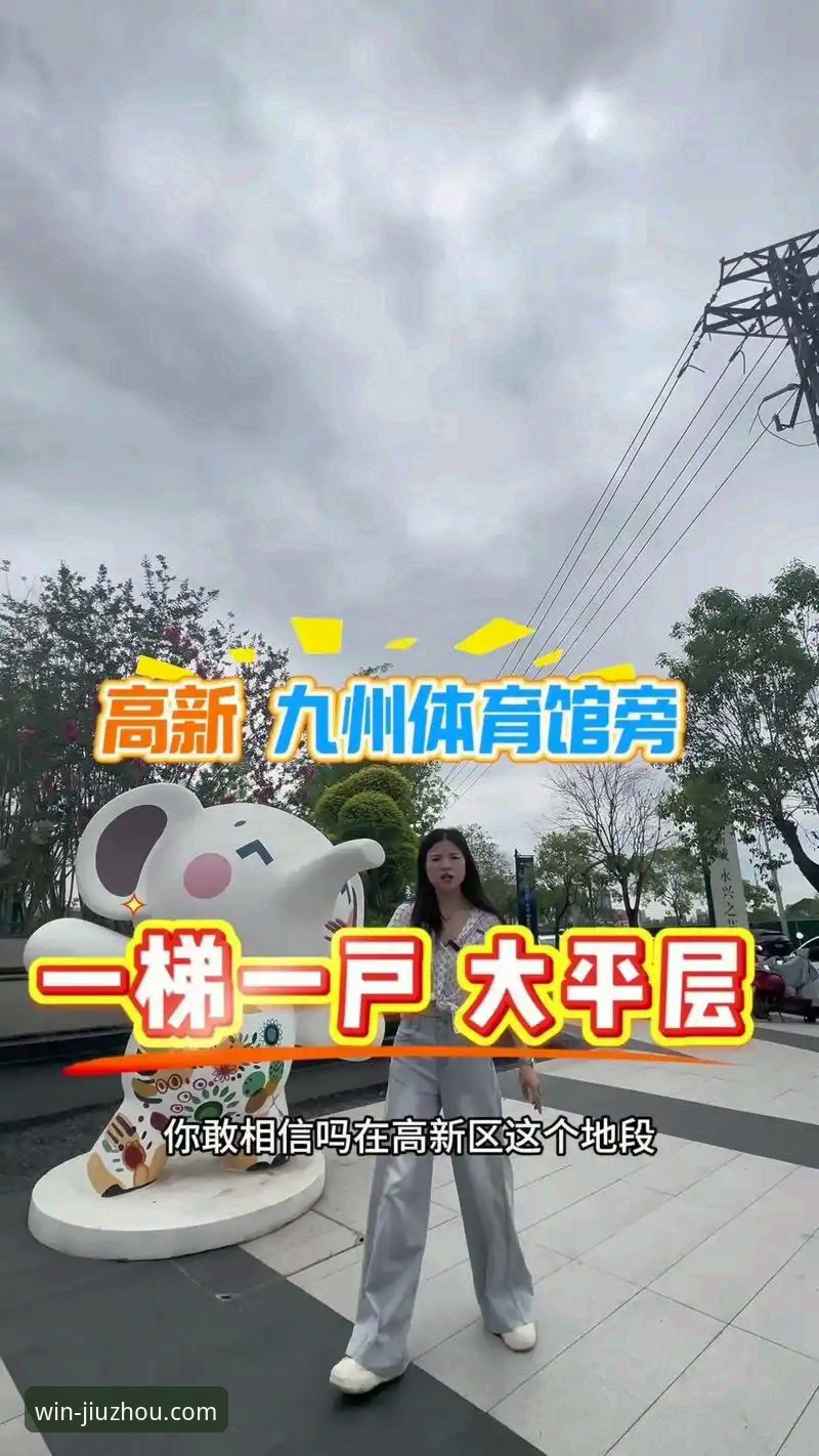 九州体育官网安全吗：官方入口与盗版平台全面对比分析