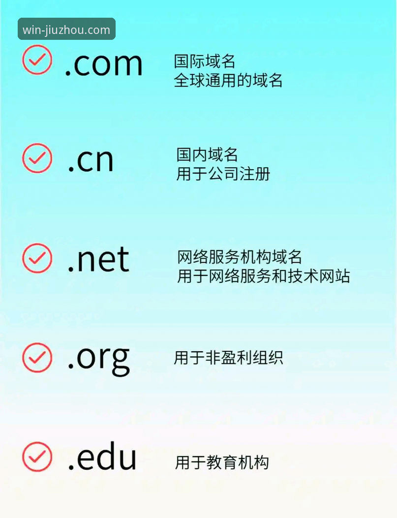 九州体育平台）提供的官方入口主要集中于NET域名体系，该体系经过三层安全校验：SSL证书加密、域名备案信息核实、以及第三方安全机构扫描。截至2024年10月，平台已迭代至v2.1.0版本，该版本在界面响应速度上提升了约23%，并新增了实时数据更新模块。